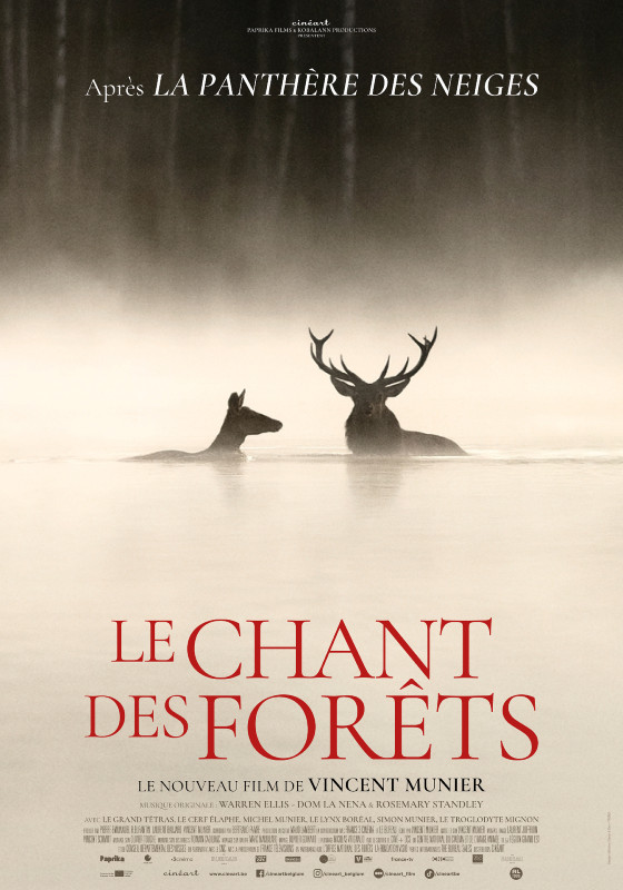 le_chant_des_forets
