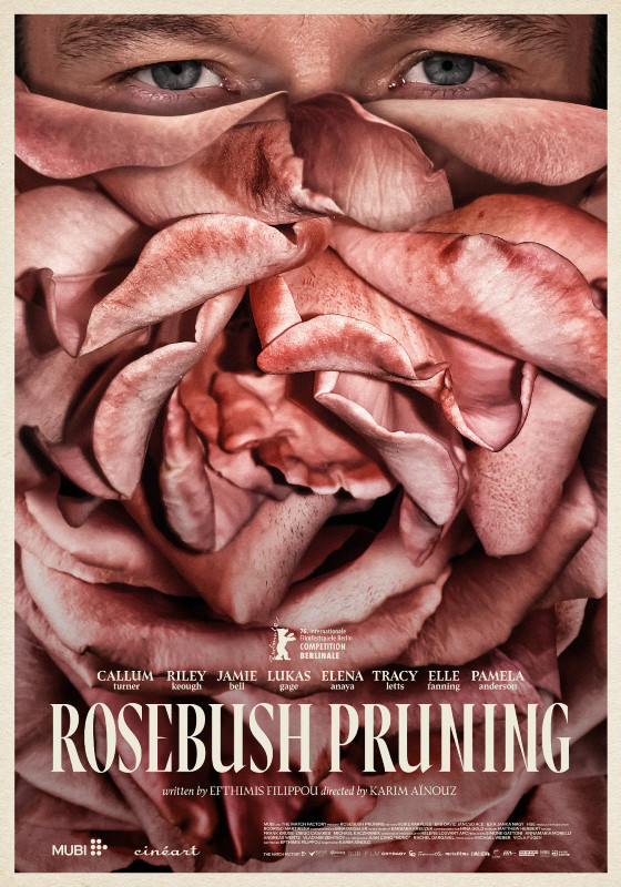 ROSEBUSH-PRUNING